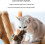 Oiseau chantant rechargeable Celery Pets pour chat 4