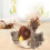 Oiseau chantant rechargeable Celery Pets pour chat 2
