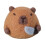 Capybara Needle Felting Supplies Kit with Tools 1
