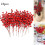 Mini bacche rosse in plastica con steli per decorazioni artigianali (10 pezzi) 1