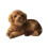 Peluche de Golden Retriever: suave, duradero e interactivo. 1