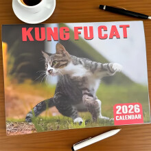 Calendário de parede engraçado de gato, 12 meses, 28,5 x 21 cm, Kung Fu