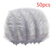 Floating Plume Feathers Natural Multicolor 50-Pack 20-25cm