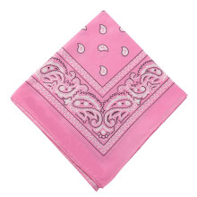 Paisley Bandana Set Double-Sided Head Scarf