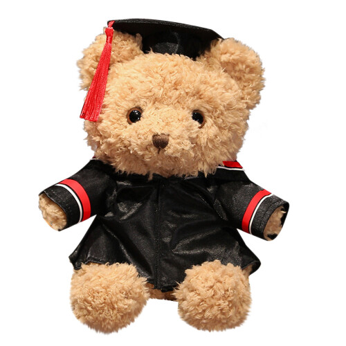 Graduation Plush Bear with Diploma Cap and Sash