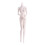 1/6 Scale Articulated Doll Body 30 cm for Posing 8