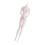 1/6 Scale Articulated Doll Body 30 cm for Posing 6