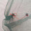 Portable prawn net folding landing net 24 inch 7