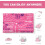 Couverture d'anniversaire pour fille 127 cm x 152 cm 7