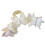 Butterfly Hair Claw Clip Acrylic 1 Piece 1