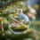 Crystal Glass Ornament Set Clear Shatter-Resistant 3.1in 1