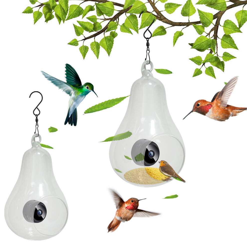 Bird Feeder With Camera 1080P Wifi Night Vision 913466160501
