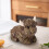 Scottish Highland Cow Resin Statue Desktop Decor4Colors 4