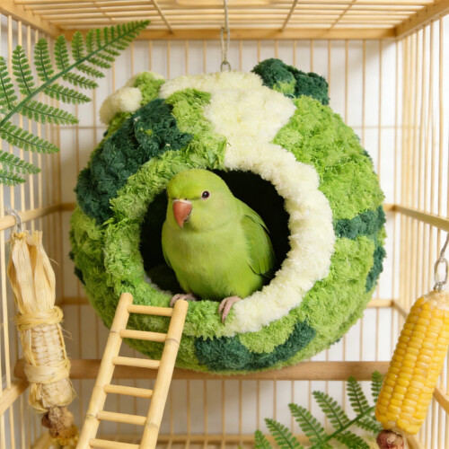 Leaba Neide Cadáis Parrot d'Éin Bheaga - Plush Tiubhaithe
