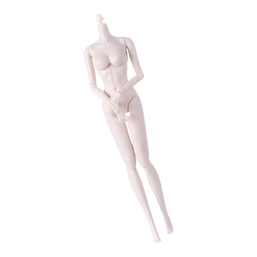 1/6 Scale Articulated Doll Body 30 cm for Posing