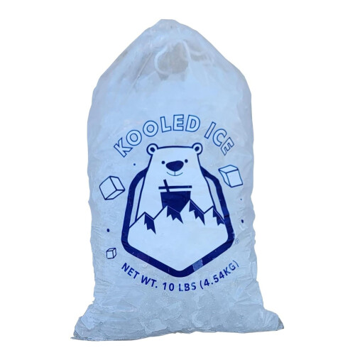 Eisbeutel mit Kordelzug, extra stark, 10 Pfund, 100er-Packung