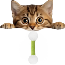 Cat Teething Chew Toy with Catnip Green 1PC