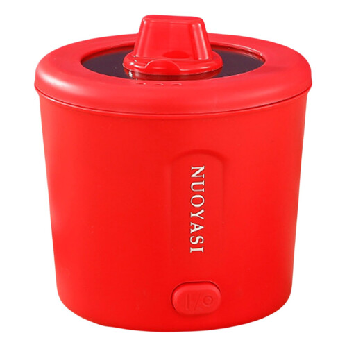 Mini bouilloire électrique portable multifonctionnelle 1L 450W