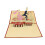 3D Pop Up Valentine's Day Card with Envelope 10PCS 1