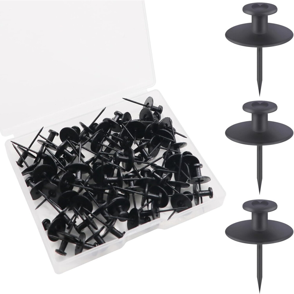 Double-Headed Picture Hanging Nails 60 Pcs Renter-Friendly 9418476047237