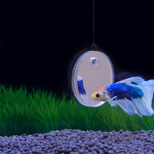 HESITONE Betta Toy Aquarium Decoration 5cm 6cm 7cm 1