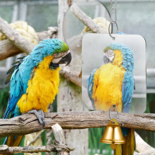 Hanging Bird Mirror with Bell for Cage Stainless Steel