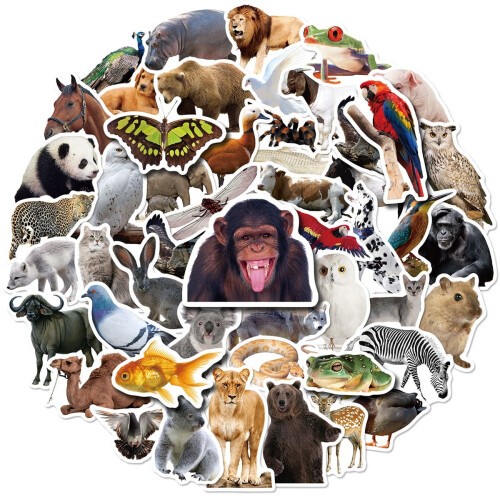 Cartoon Animal Stickers Pack 50 Pieces