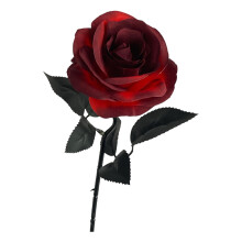 Roses artificielles noires en soie avec tige – Faux réalistes