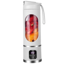 Mini Blender with Steel Blades 450ml Travel Cup