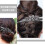 Strass haarclips voor dames in eendenbekmodel (2 stuks) 4
