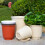 Vaso de plástico para interiores com furo de drenagem e bandeja. 5