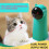 Automatic Motion-Activated Cat Toy for Indoor Cats 2