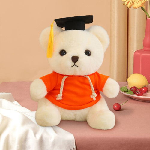 Graduation Bear Doll Soft Plush 23cm