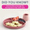 BIBaDO  Silicone Suction Divider Plate Blush  Toddler Plates  Help Dev 6