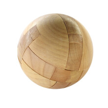 Wooden Brain Teaser Puzzle Game for Kids and Adults