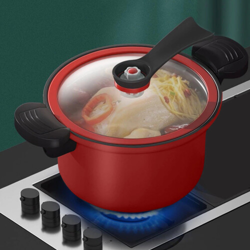 Non-Stick Pressure Cooker Compatible with Gas Open Fire