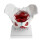 Female Pelvis Model with Removable Organs and Muscles, 1
