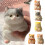 Plüschkatze – superweiches Stressabbau-Geschenk für Sinne 1