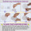 Bed Canopy Mosquito Net for Bed Travel Foldable Mosquito Net Mosquito 2