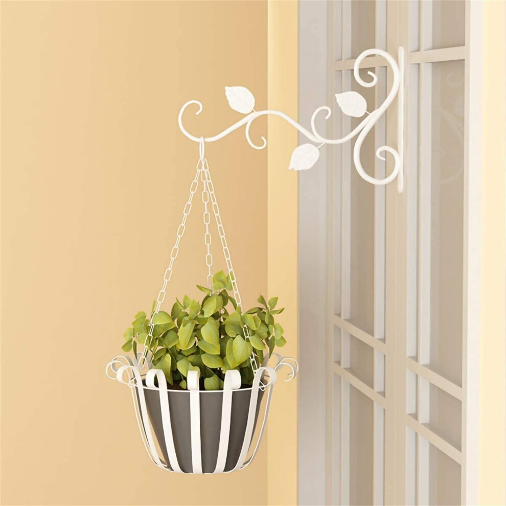 Aurorax Decorative Screw-In Hooks Rust-Resistant Metal 941196157577