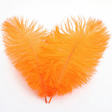 Colorful Feathers 30-35 cm for Wedding Decor and Craft Use