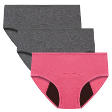 Women's Cotton Menstrual Period Underwear Leak-Proof Briefs