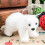 White Bear Christmas Ornaments Tree Decorations 12 Pack 1