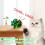 Mylar Crinkle Balls Cat Toys Soft Interactive 24 Pack 3