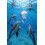 Wooden Dolphin Pod Puzzle 1000 Pieces 1