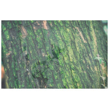 Reptile tank background sticker tree bark pattern