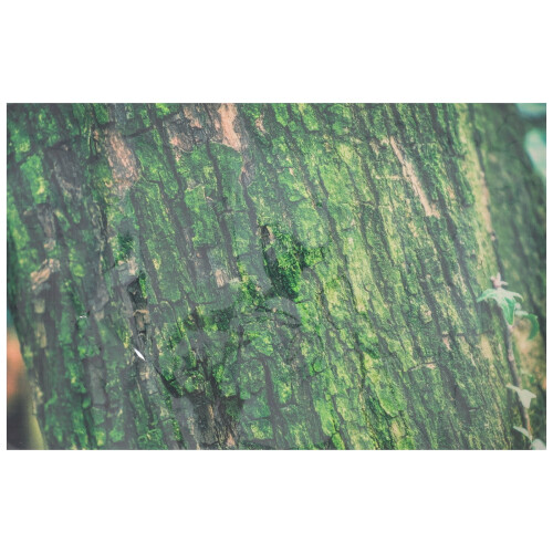 Reptile tank background sticker tree bark pattern