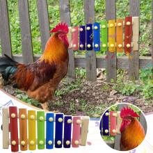 Wooden Chicken Xylophone Toy for Birds 1 piece