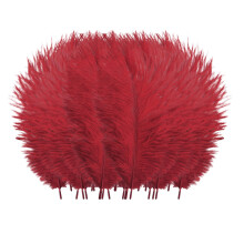 Ostrich Feathers Colorful DIY Craft 50 pcs