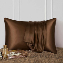 Coollooc Satin Pillowcase for Hair and Skin 20x23 Inch